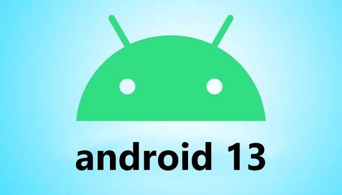 Google, Android 13, developer preview