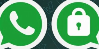 WhatsApp: immagine del profilo pericolosa, ecco perché dovete eliminarla