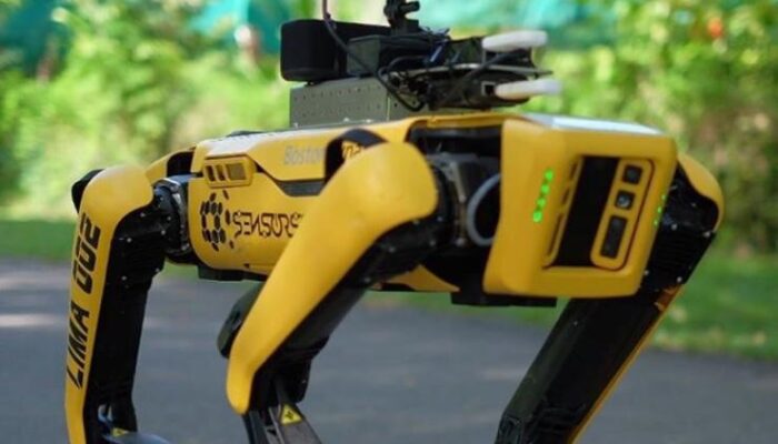 Cani robot in test per controllare le frontiere Usa