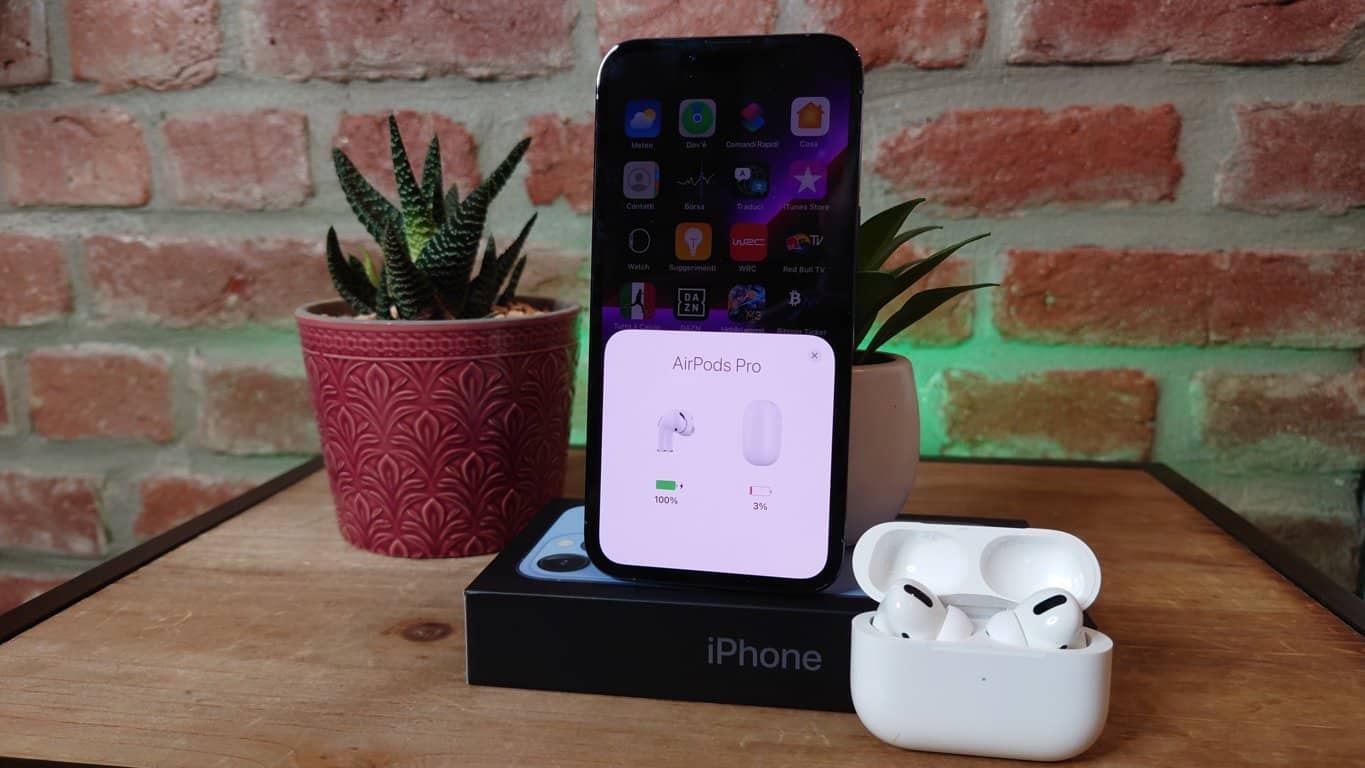 iphone13pro (1)