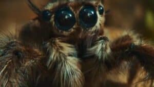 samsung spot