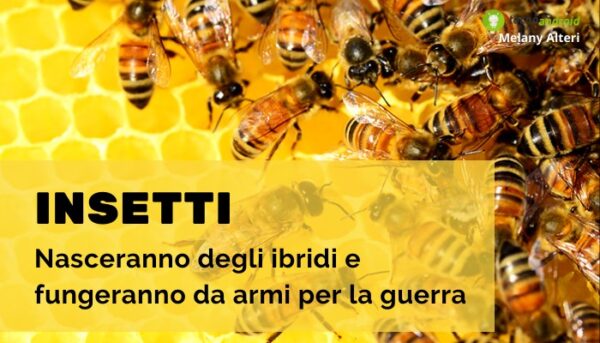 Guerra: si torna indietro, gli insetti verranno nuovamente utilizzati come "armi"