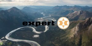 expert