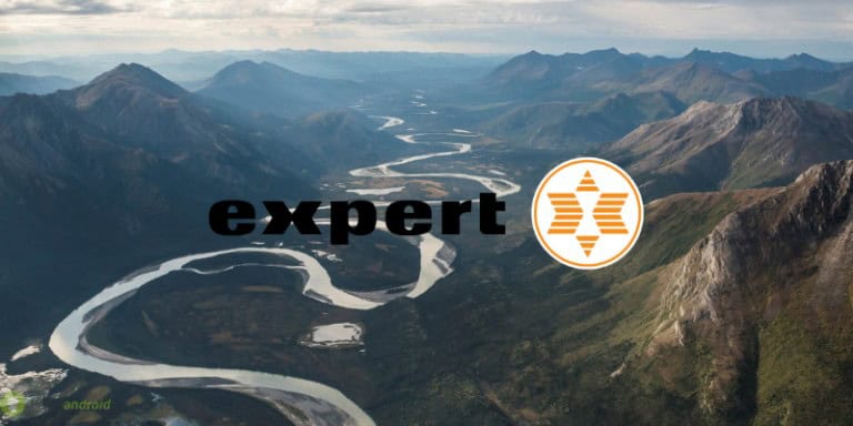 expert