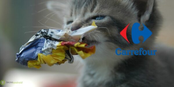 carrefour