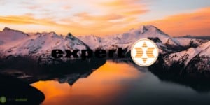 expert