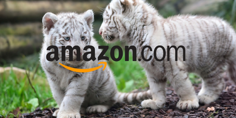 Amazon shock: solo oggi i codici sconto sono in regalo gratis