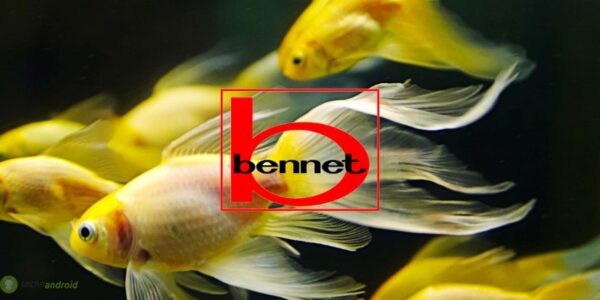 bennet