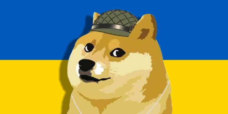 ucraina shiba inu
