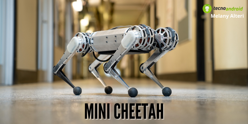 Intelligenza Artificiale: il mini ghepardo robot del MIT impara dai propri errori