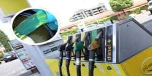 olio di colza diesel