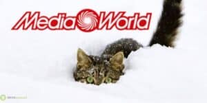 mediaworld