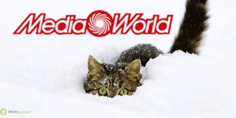 mediaworld