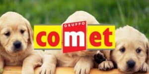 comet
