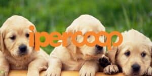coop