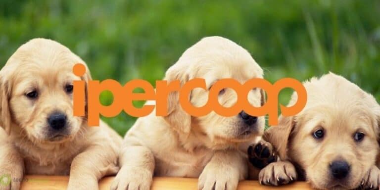 coop