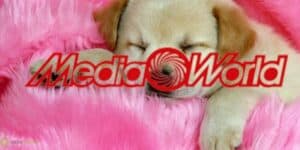 mediaworld