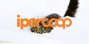 coop