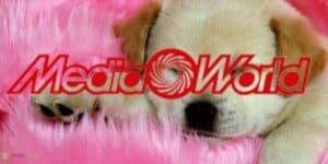 mediaworld