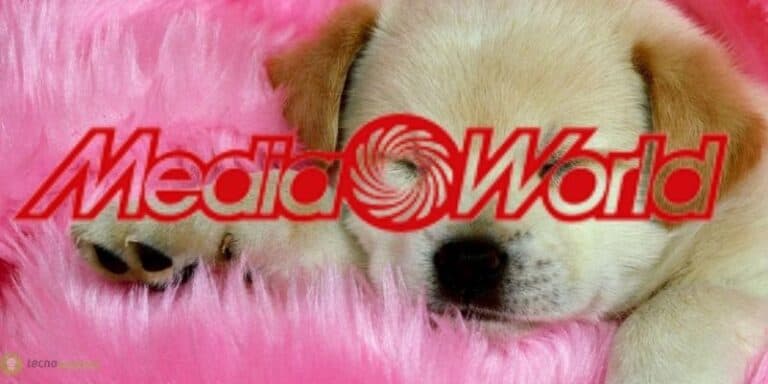 mediaworld