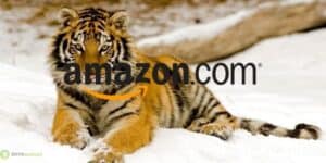 amazon