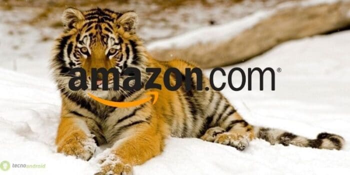 amazon