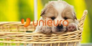 unieuro