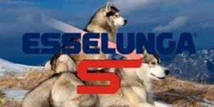 esselunga