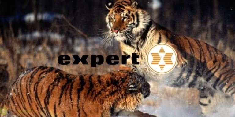 expert