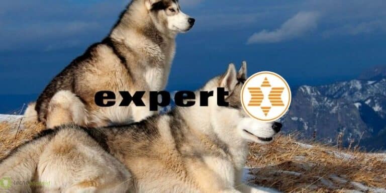 expert