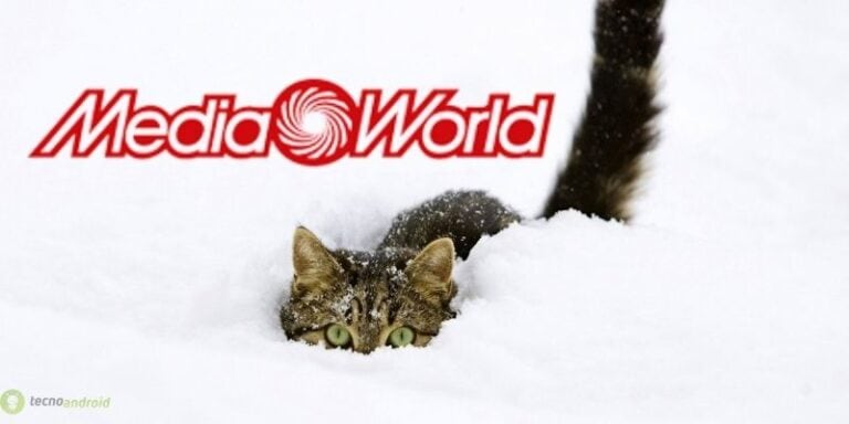 mediaworld