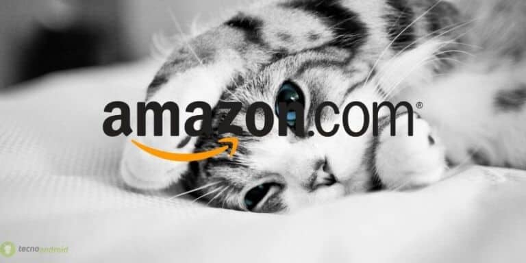 amazon