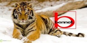 bennet