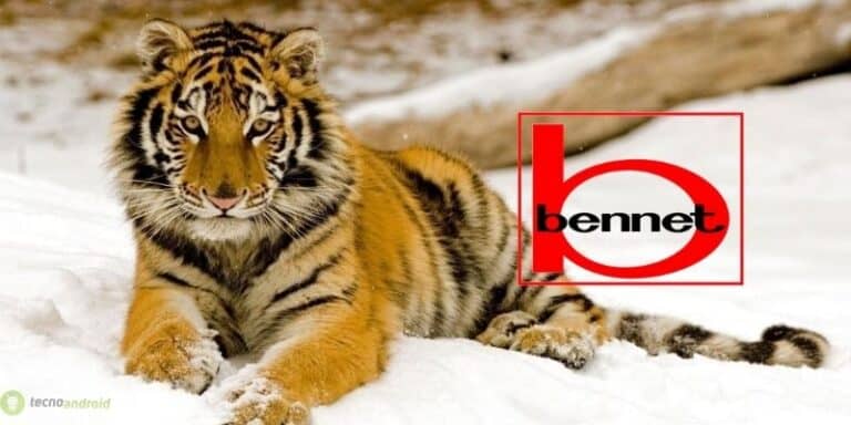 bennet