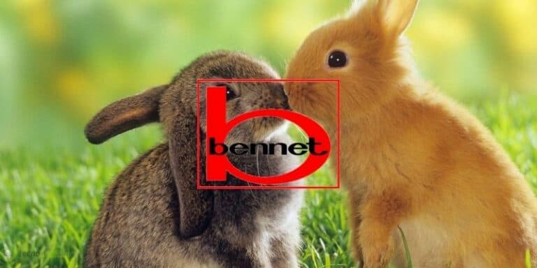 bennet