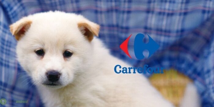 carrefour