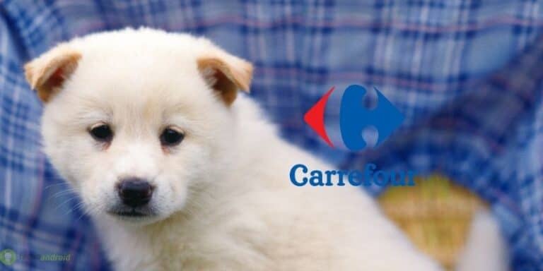 carrefour
