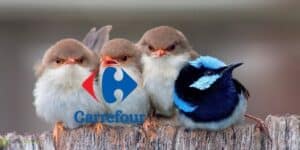 carrefour