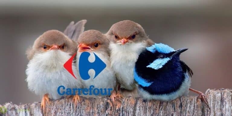 carrefour