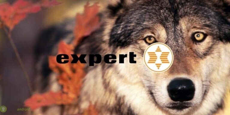 expert