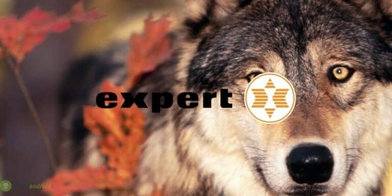 expert