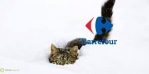 carrefour