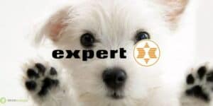 expert