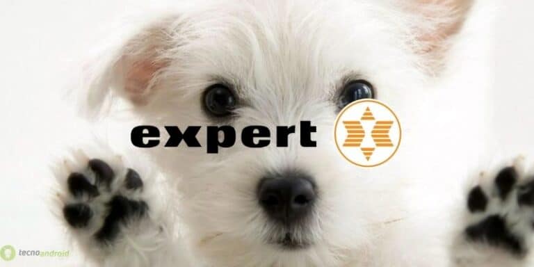expert