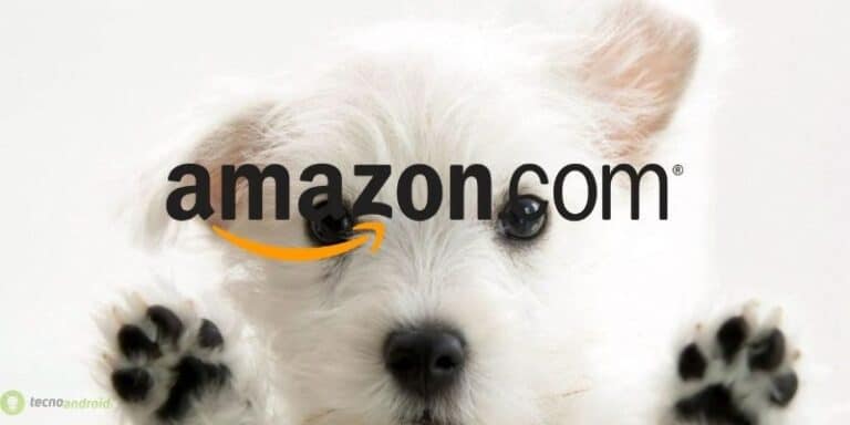 amazon