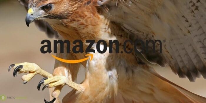 amazon