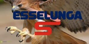 esselunga