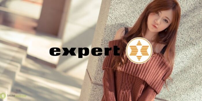expert