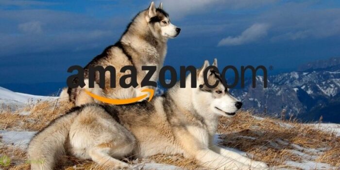 amazon
