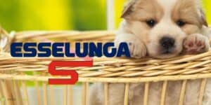 esselunga